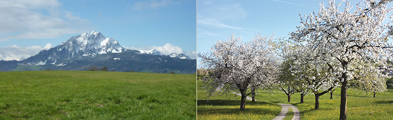 Seitenbilder