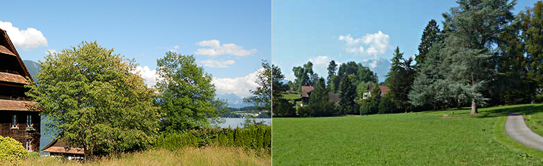Seitenbilder
