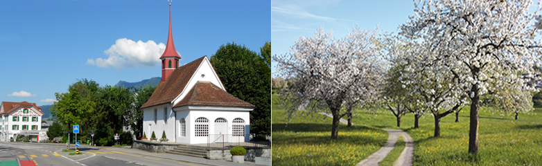 Seitenbilder