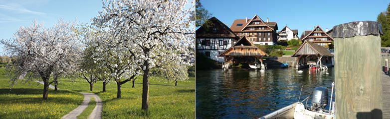 Seitenbilder
