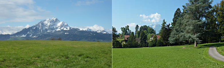 Seitenbilder